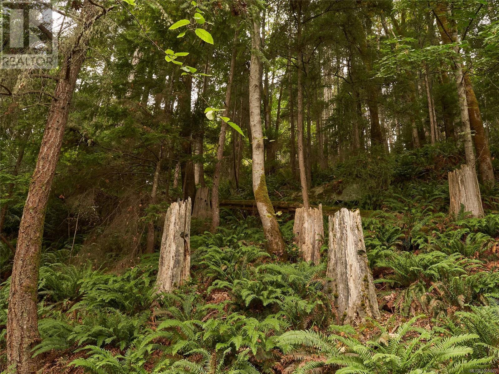 Lot 105 Pequod Cres interior - Kitchen in 0BR/0BA House/Single Family